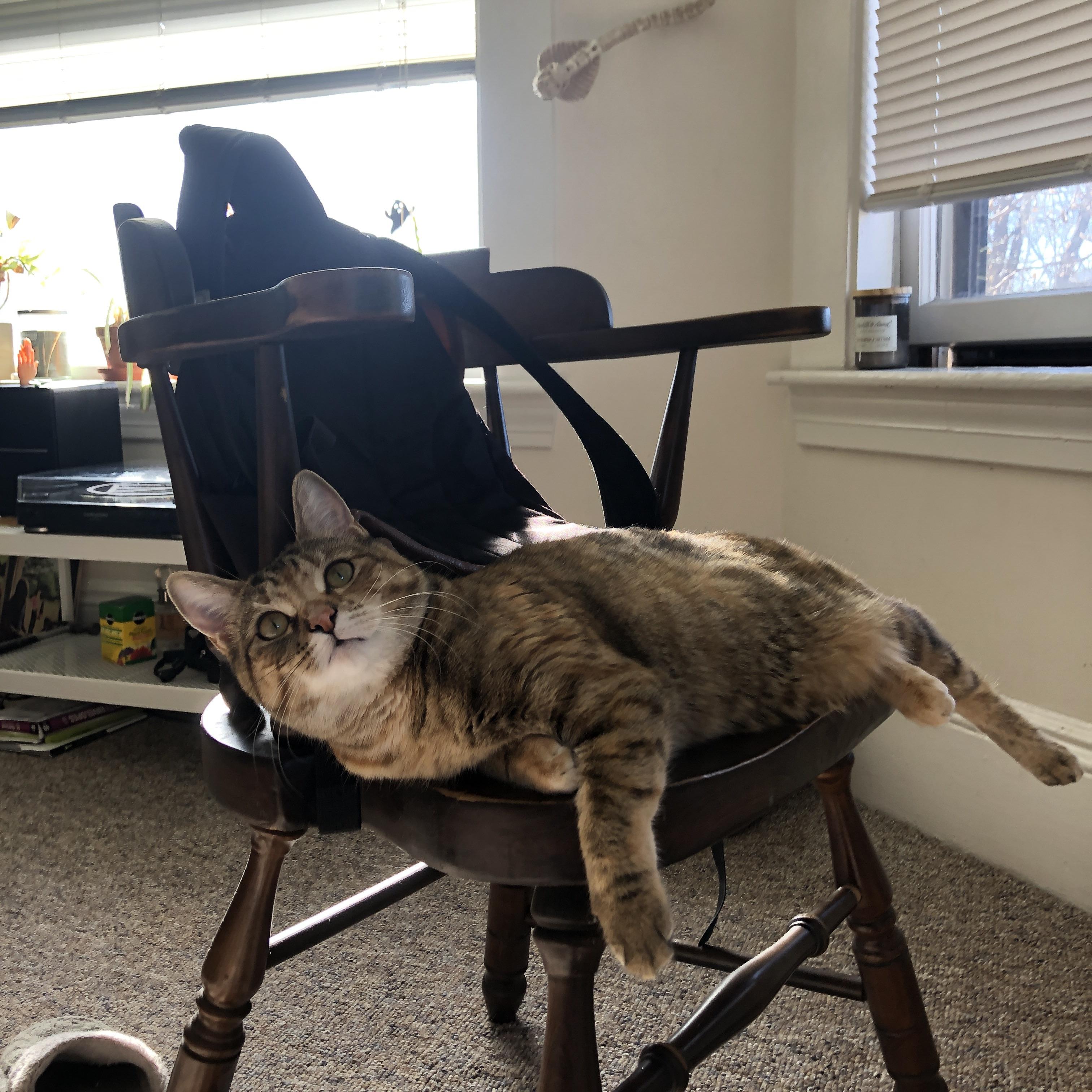 逆袭！浙江队以勇气与智慧战胜凯尔特人，乔治三分封王成关键先生