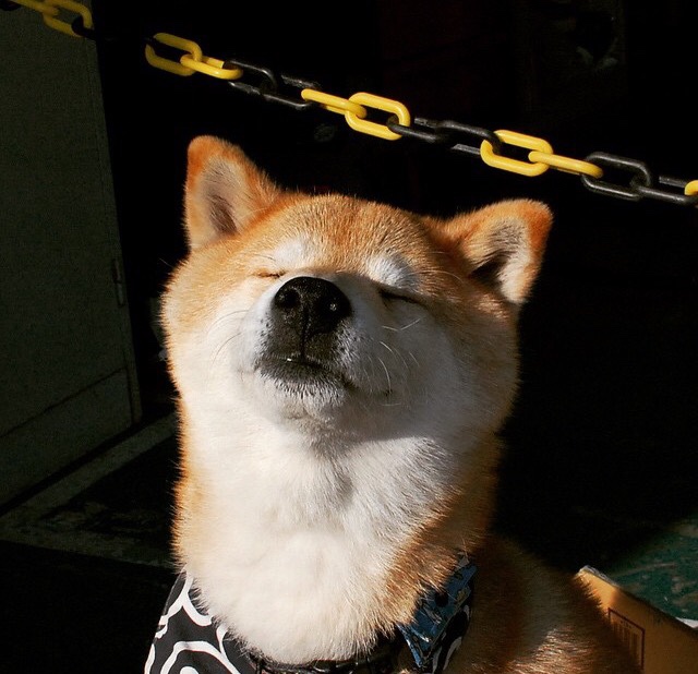 当NBA的魔术降临世界杯，2026，克里斯·保罗的终极接管