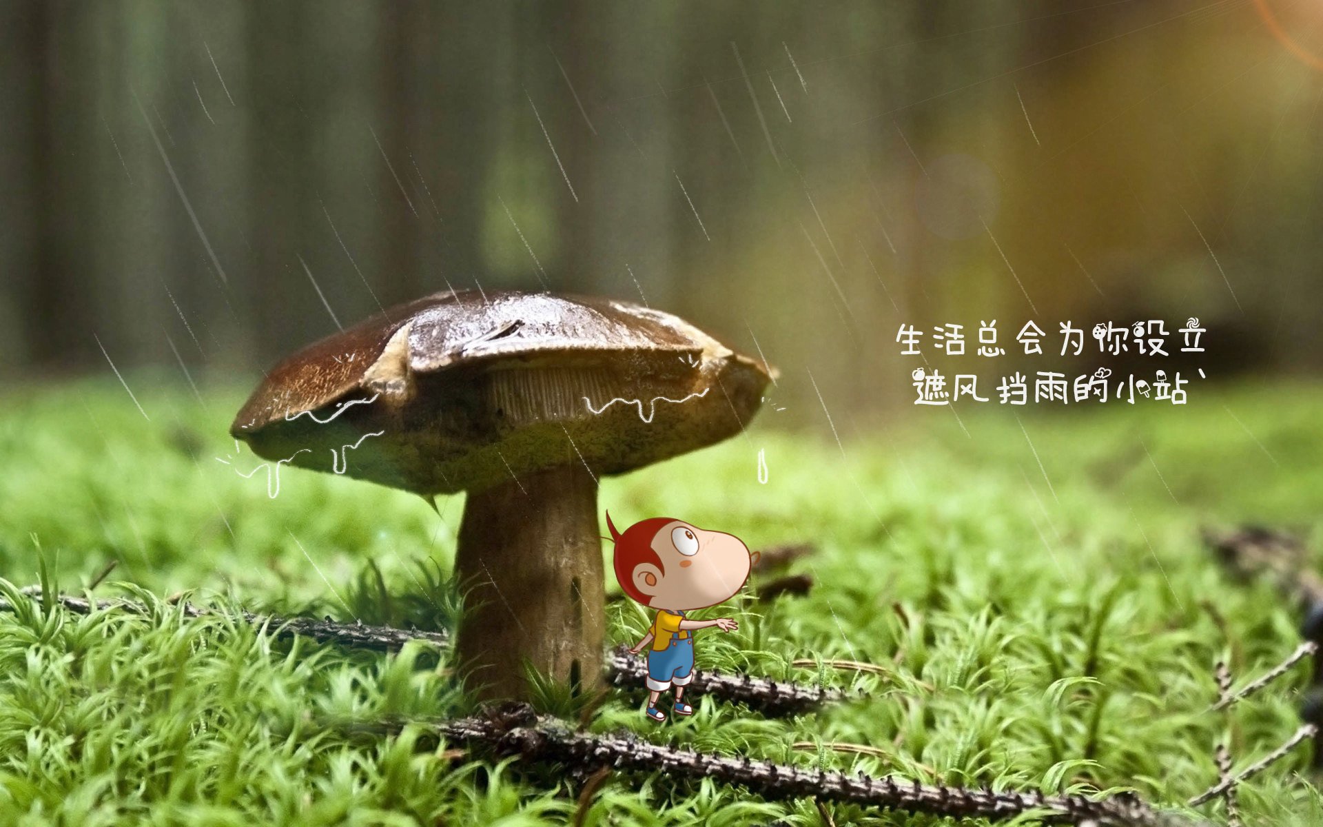 绝境逆袭!集体苏醒的国王击碎吉林铁壁,福克斯神之一手锁定乾坤