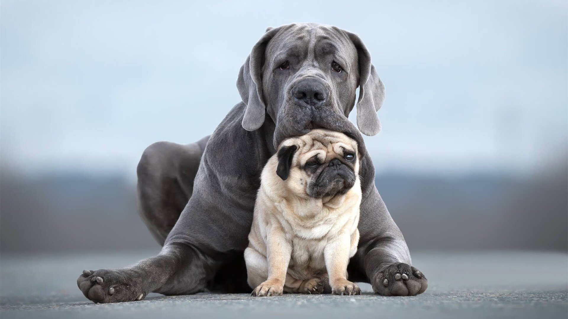 末节风云，托尼教科书级表现，埃及逆转希腊创奇迹