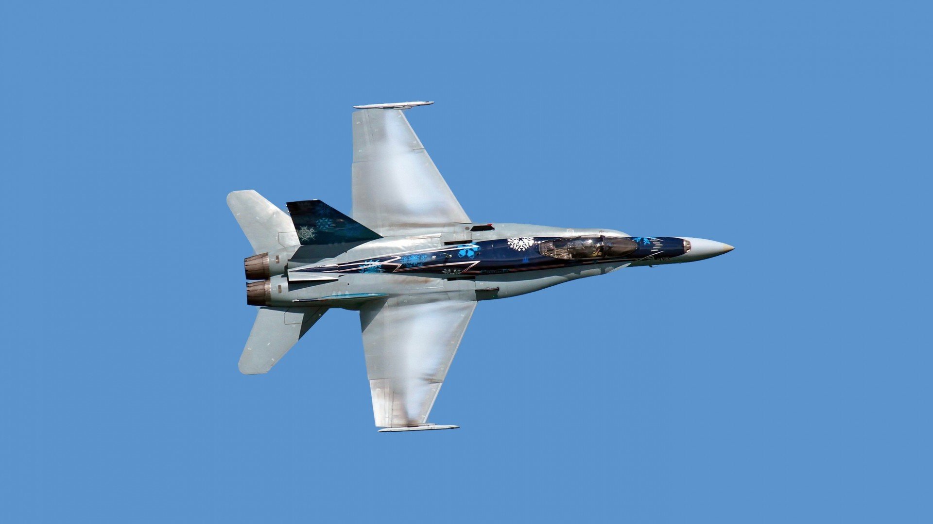 赛迪斯·杨的右手，西亚卡姆血脉中的制胜印记