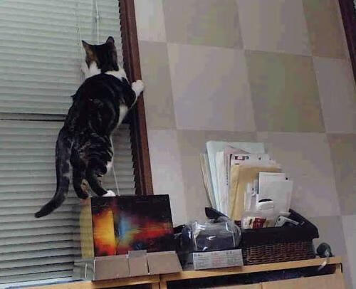 2024.5.8,当时间开始攀爬