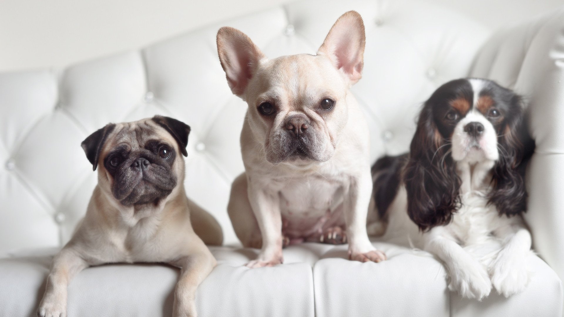 加时鏖战，灰熊力克广厦；哈利伯顿一手导演胜利