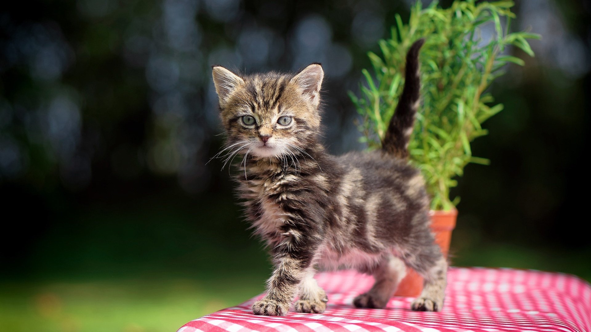 两代亚洲一哥的无声交接，久保建英在国家德比之夜完成历史性蜕变