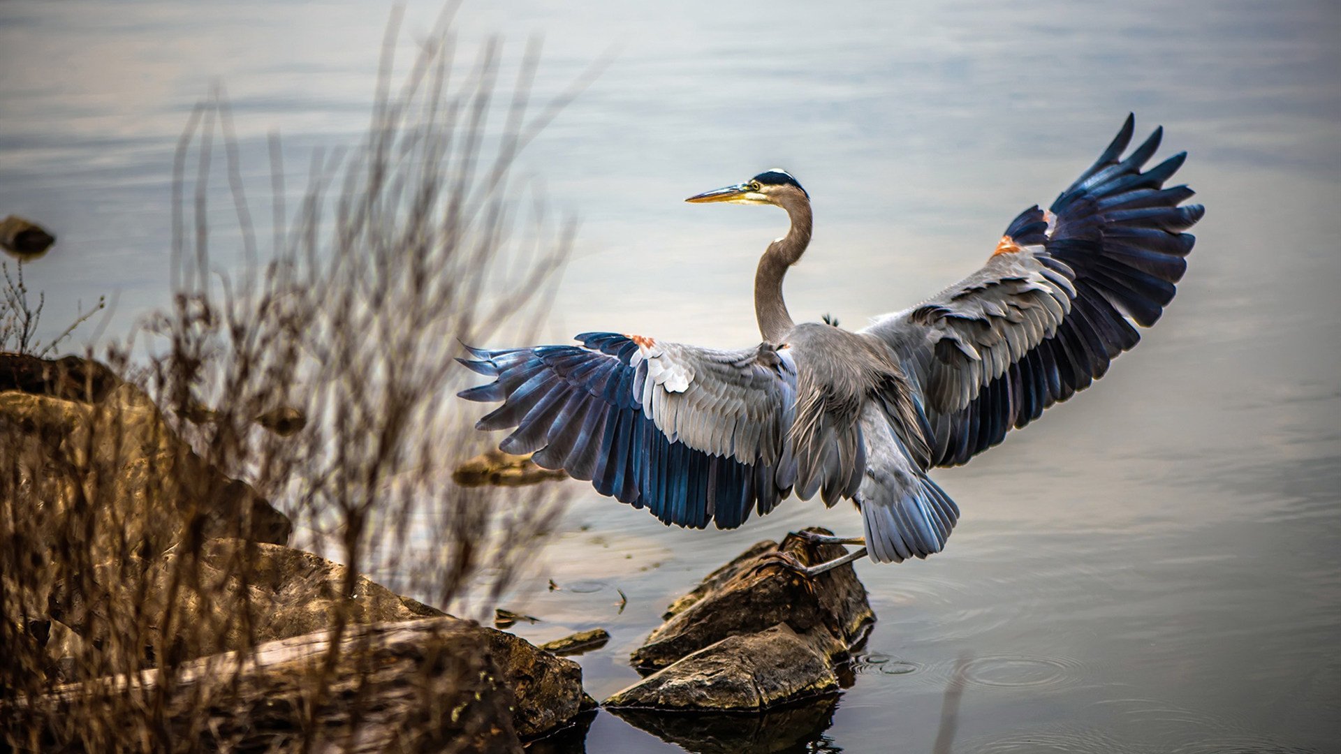 中国对阵摩洛哥，C罗式进攻的阴影与足球未来的启示