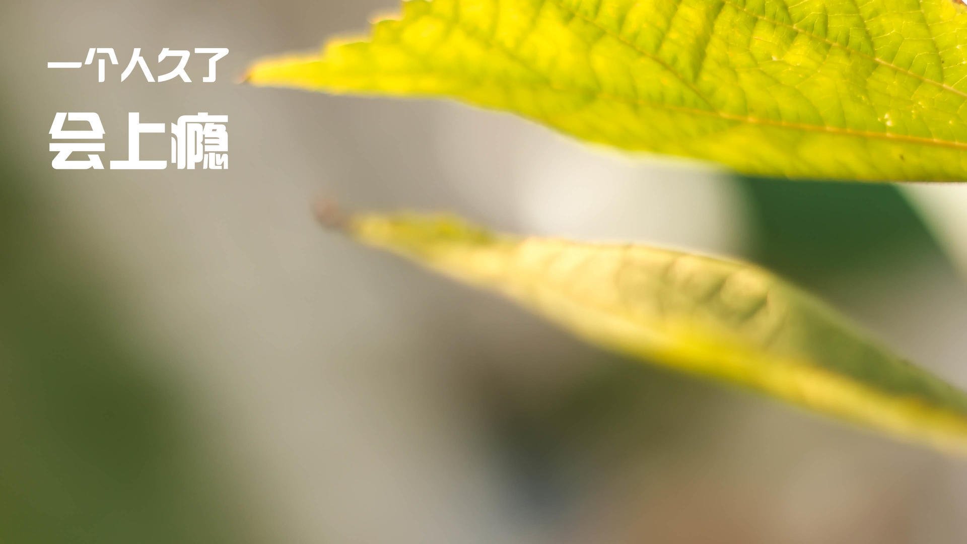 蒂亚戈点燃赛场，瑞士淘汰安哥拉晋级，激情对决引爆全场