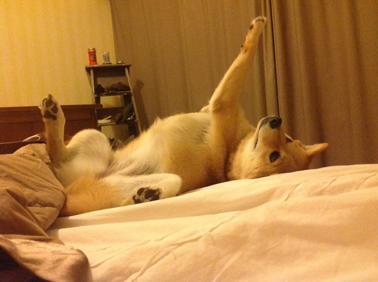 37岁的巫师导演逆转，巴尔韦德伪九号实验、战术胜利与防守反击的转折点