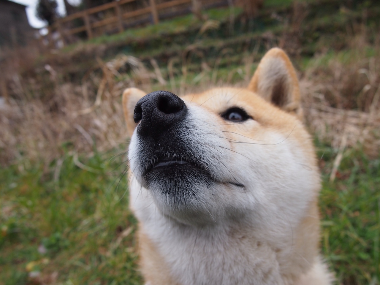 当铁壁化作利刃，阿什拉夫的降维打击，厄瓜多尔坠入无解迷宫