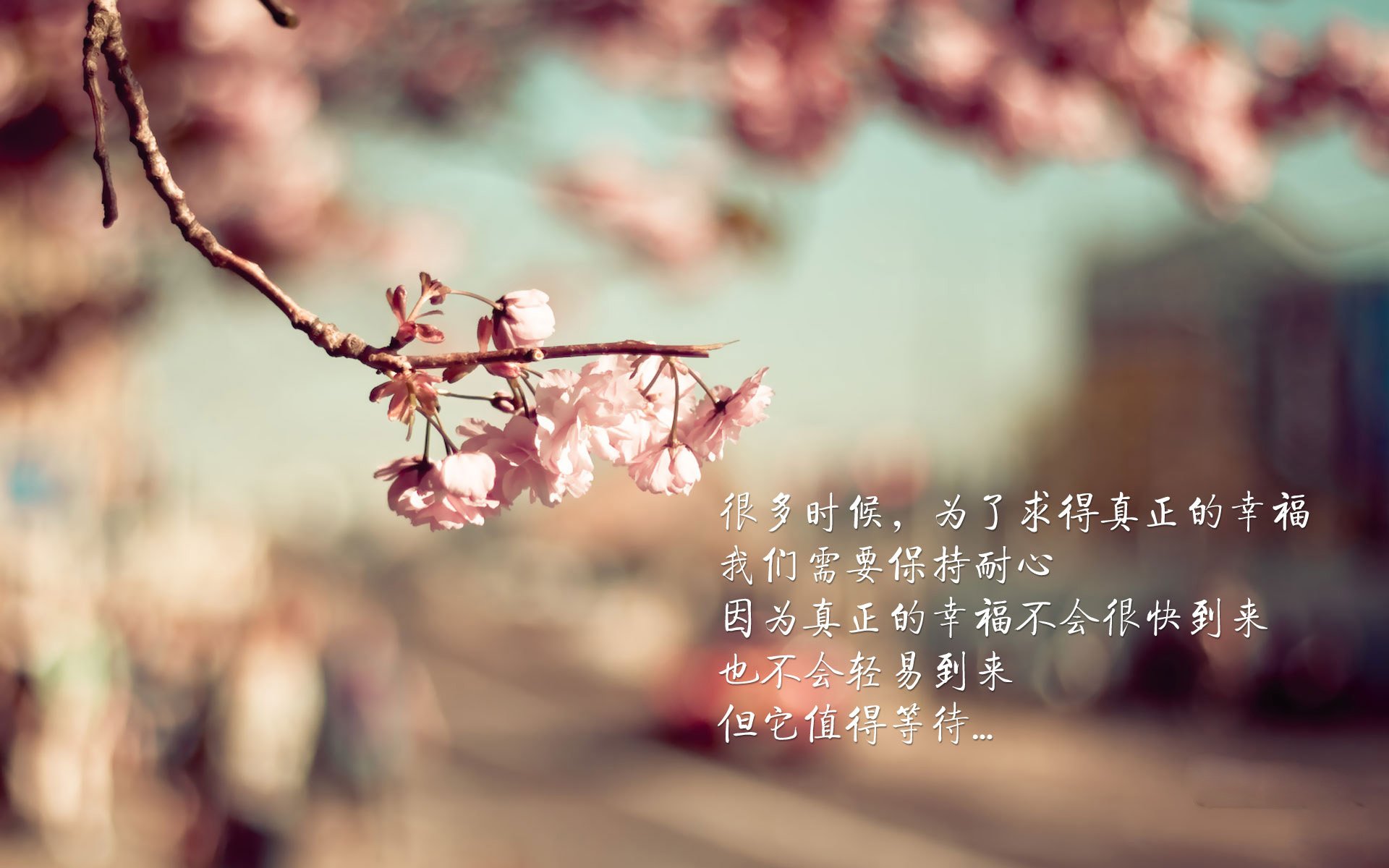 冰与火之歌,格列兹曼独舞难敌西亚狼,伊拉克在B组冷门中完成史诗逆转